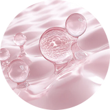 Hydrolyzed Collagen